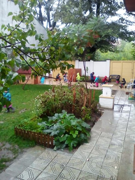 Gradinita Montessori Livada cu copii